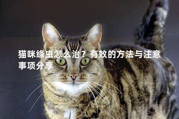 猫咪绦虫怎么治？有效的方法与注意事项分享