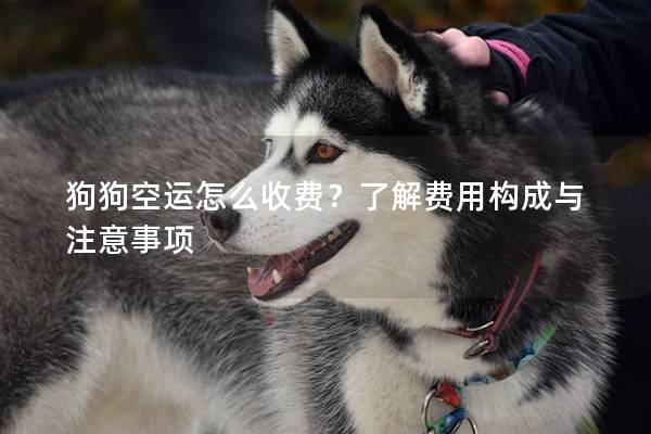 狗狗空运怎么收费？了解费用构成与注意事项