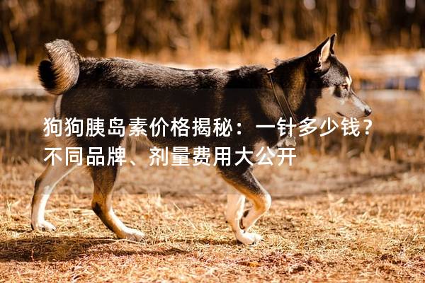 狗狗胰岛素价格揭秘：一针多少钱？不同品牌、剂量费用大公开