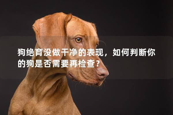 狗绝育没做干净的表现，如何判断你的狗是否需要再检查？