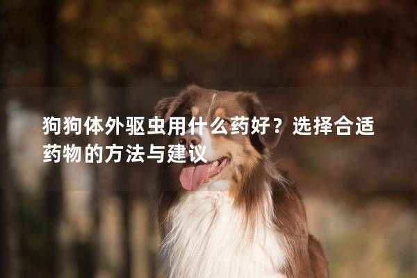狗狗体外驱虫用什么药好？选择合适药物的方法与建议