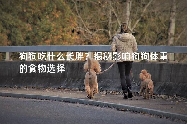 狗狗吃什么长胖？揭秘影响狗狗体重的食物选择