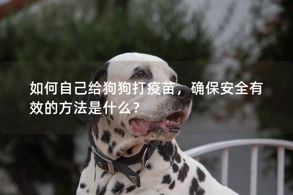 如何自己给狗狗打疫苗，确保安全有效的方法是什么？
