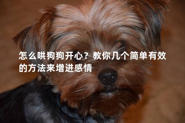怎么哄狗狗开心？教你几个简单有效的方法来增进感情