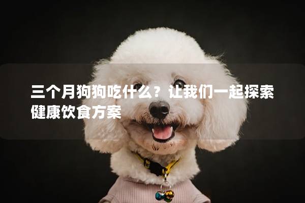 三个月狗狗吃什么？让我们一起探索健康饮食方案