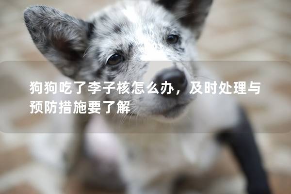 狗狗吃了李子核怎么办，及时处理与预防措施要了解