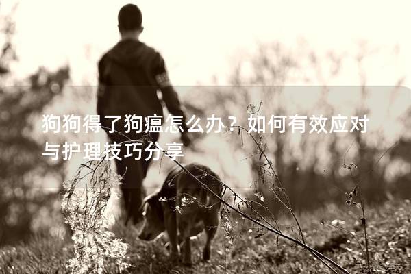 狗狗得了狗瘟怎么办？如何有效应对与护理技巧分享