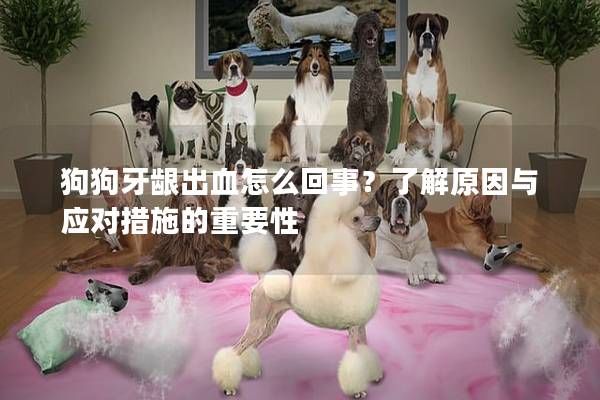 狗狗牙龈出血怎么回事？了解原因与应对措施的重要性