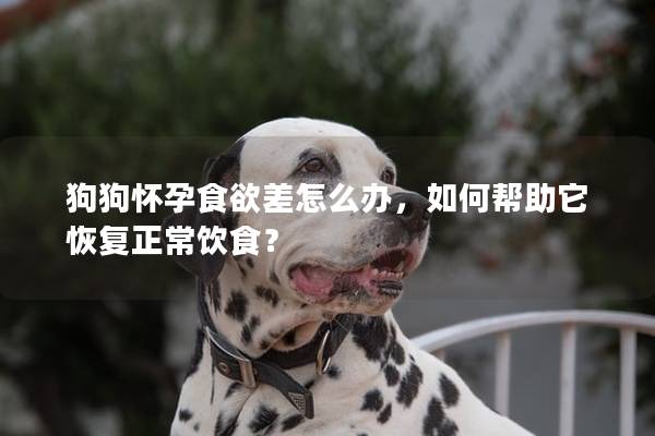 狗狗怀孕食欲差怎么办，如何帮助它恢复正常饮食？