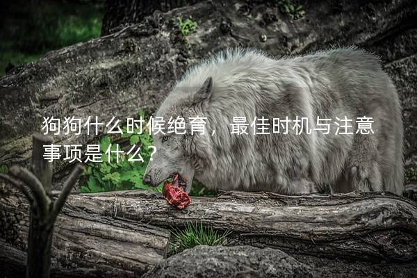 狗狗什么时候绝育，最佳时机与注意事项是什么？