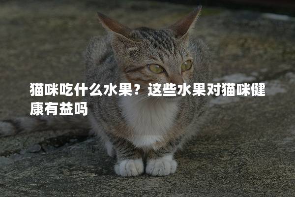 猫咪吃什么水果？这些水果对猫咪健康有益吗