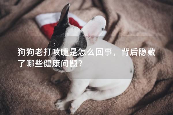 狗狗老打喷嚏是怎么回事，背后隐藏了哪些健康问题？