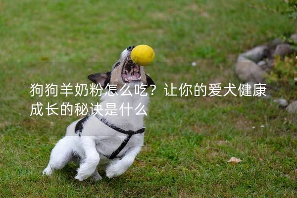 狗狗羊奶粉怎么吃？让你的爱犬健康成长的秘诀是什么
