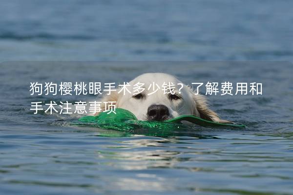 狗狗樱桃眼手术多少钱？了解费用和手术注意事项