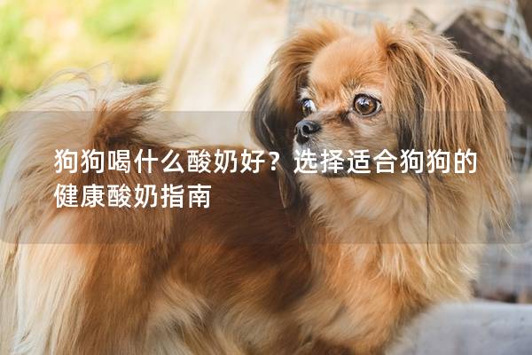 狗狗喝什么酸奶好？选择适合狗狗的健康酸奶指南