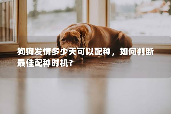 狗狗发情多少天可以配种，如何判断最佳配种时机？