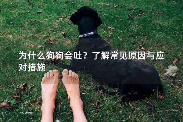 为什么狗狗会吐？了解常见原因与应对措施
