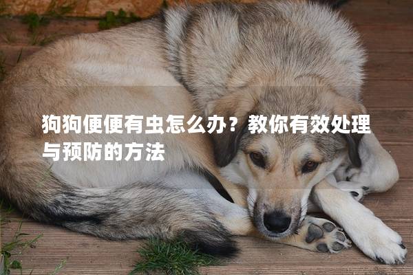 狗狗便便有虫怎么办？教你有效处理与预防的方法