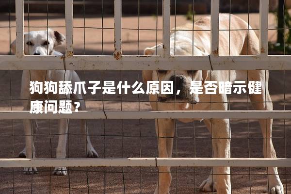 狗狗舔爪子是什么原因，是否暗示健康问题？