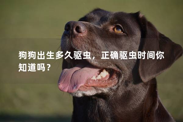 狗狗出生多久驱虫，正确驱虫时间你知道吗？