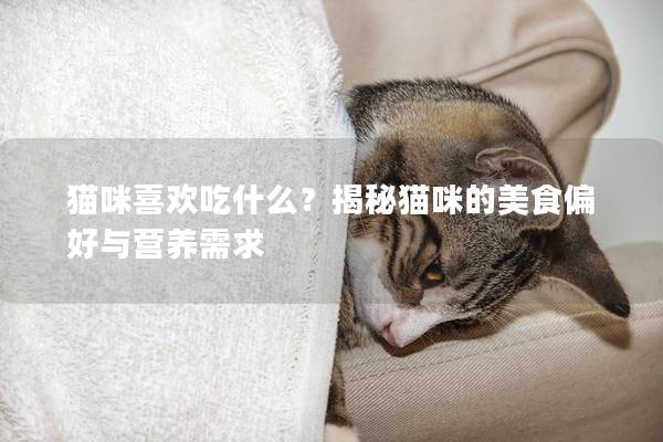 猫咪喜欢吃什么？揭秘猫咪的美食偏好与营养需求