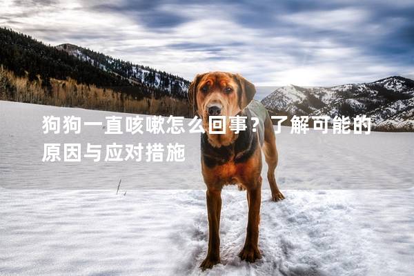 狗狗一直咳嗽怎么回事？了解可能的原因与应对措施