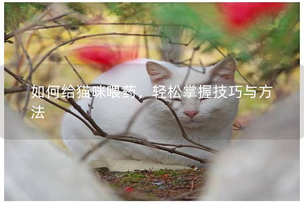 如何给猫咪喂药，轻松掌握技巧与方法