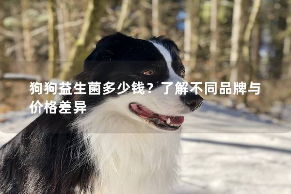 狗狗益生菌多少钱？了解不同品牌与价格差异