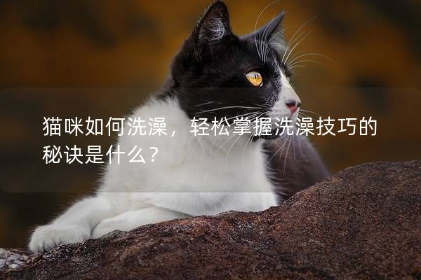 猫咪如何洗澡，轻松掌握洗澡技巧的秘诀是什么？