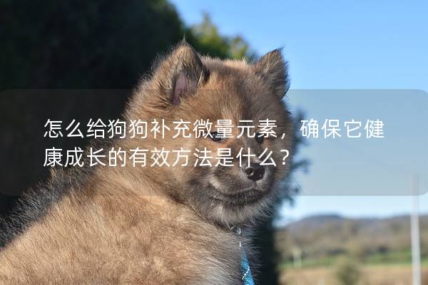 怎么给狗狗补充微量元素，确保它健康成长的有效方法是什么？