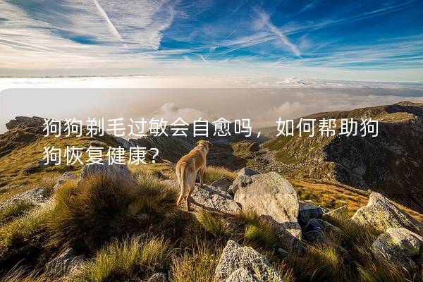 狗狗剃毛过敏会自愈吗，如何帮助狗狗恢复健康？