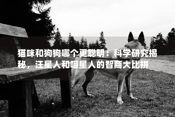 猫咪和狗狗哪个更聪明：科学研究揭秘，汪星人和喵星人的智商大比拼