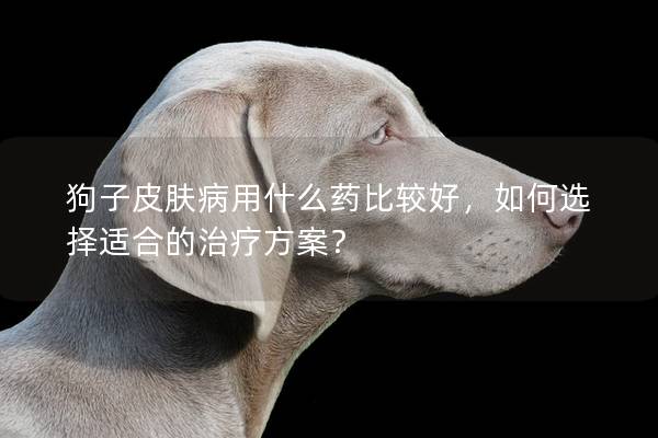 狗子皮肤病用什么药比较好，如何选择适合的治疗方案？