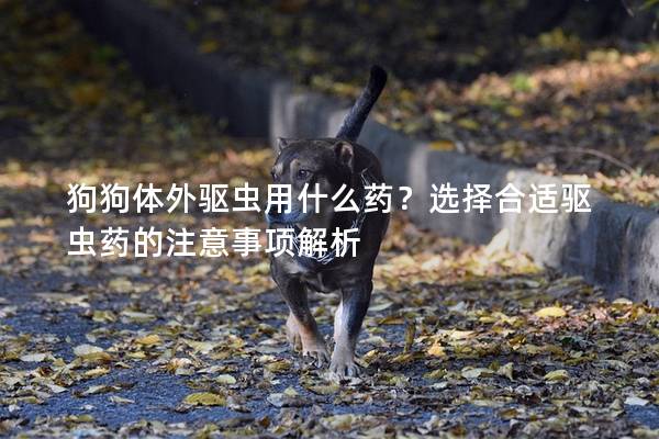 狗狗体外驱虫用什么药？选择合适驱虫药的注意事项解析