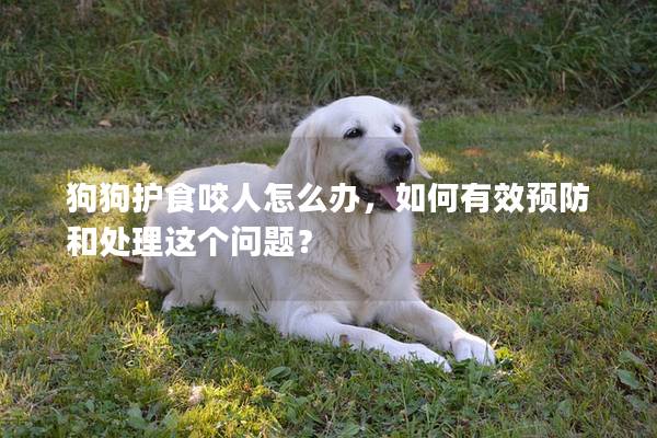 狗狗护食咬人怎么办，如何有效预防和处理这个问题？