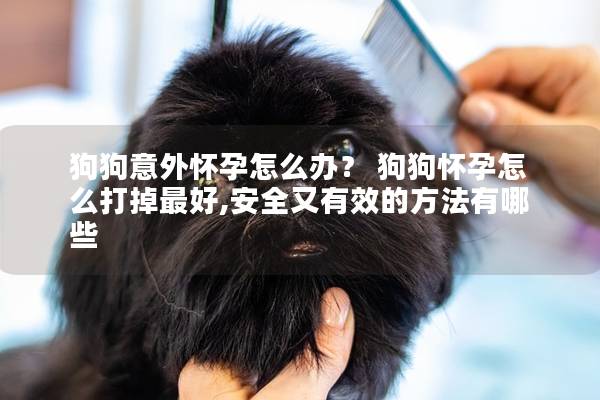 狗狗意外怀孕怎么办？ 狗狗怀孕怎么打掉最好,安全又有效的方法有哪些