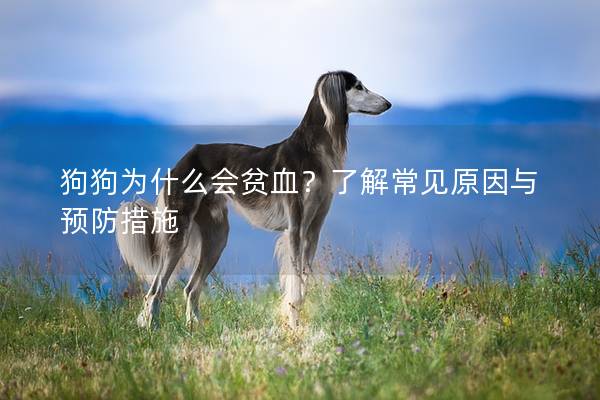 狗狗为什么会贫血？了解常见原因与预防措施