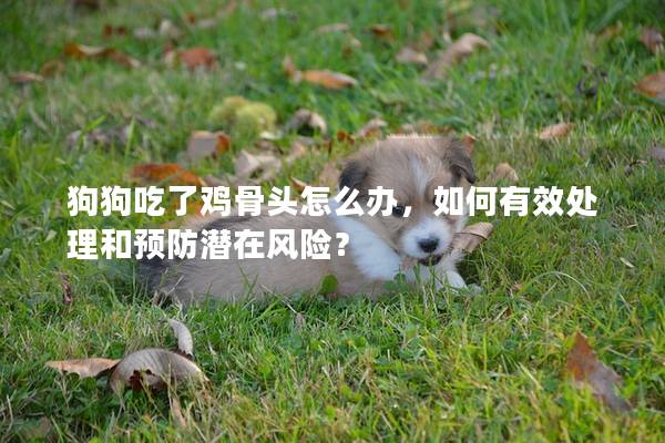 狗狗吃了鸡骨头怎么办，如何有效处理和预防潜在风险？