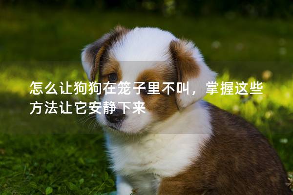 怎么让狗狗在笼子里不叫，掌握这些方法让它安静下来