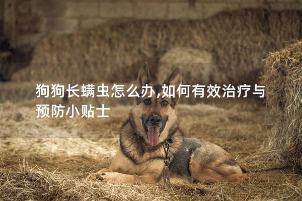 狗狗长螨虫怎么办,如何有效治疗与预防小贴士