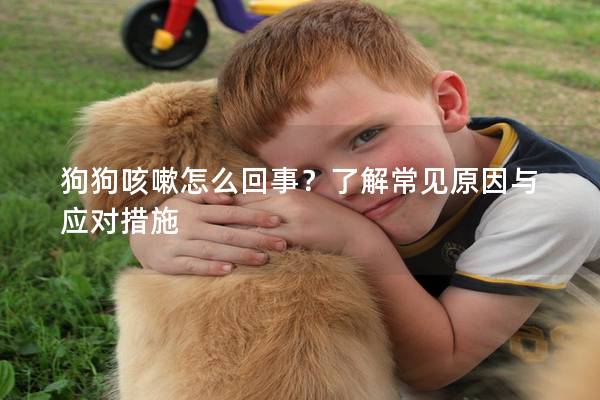 狗狗咳嗽怎么回事？了解常见原因与应对措施