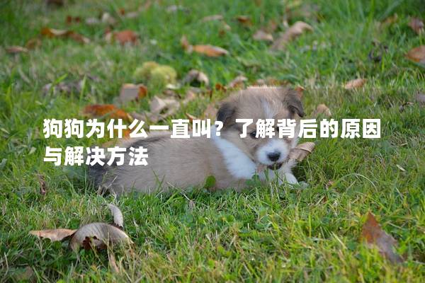狗狗为什么一直叫？了解背后的原因与解决方法