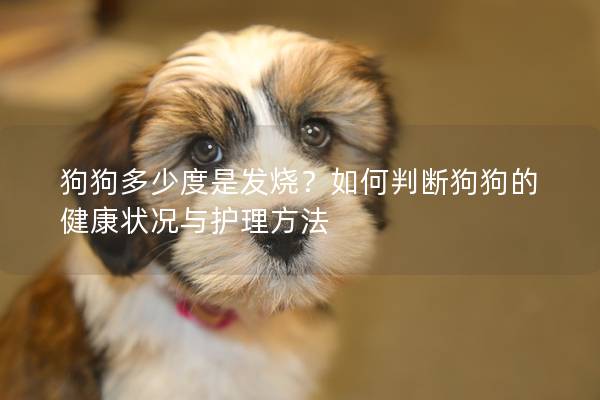 狗狗多少度是发烧？如何判断狗狗的健康状况与护理方法