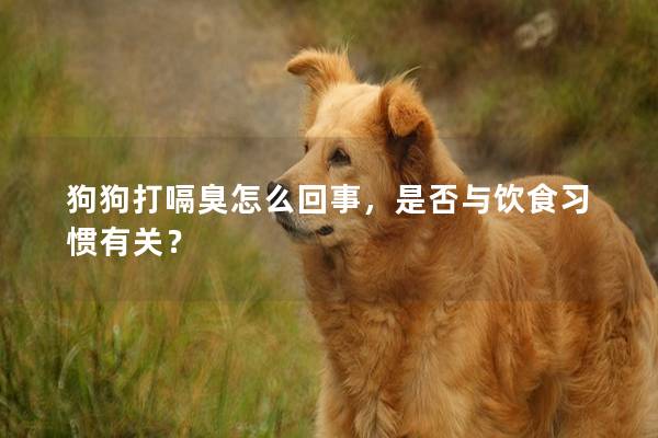 狗狗打嗝臭怎么回事，是否与饮食习惯有关？