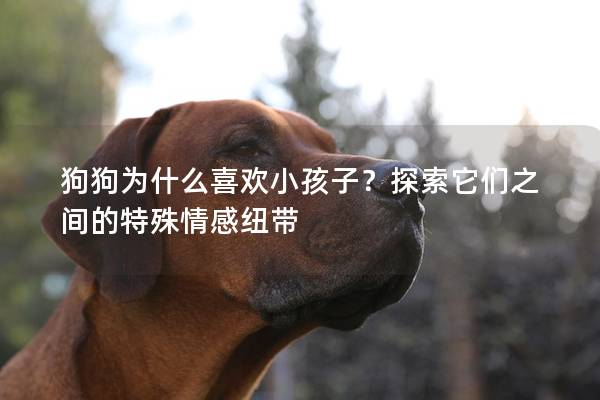 狗狗为什么喜欢小孩子？探索它们之间的特殊情感纽带