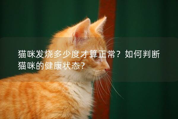猫咪发烧多少度才算正常？如何判断猫咪的健康状态？