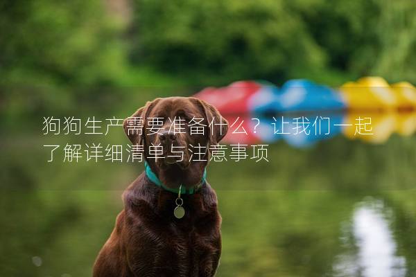 狗狗生产需要准备什么？让我们一起了解详细清单与注意事项
