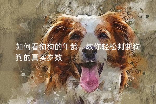 如何看狗狗的年龄，教你轻松判断狗狗的真实岁数