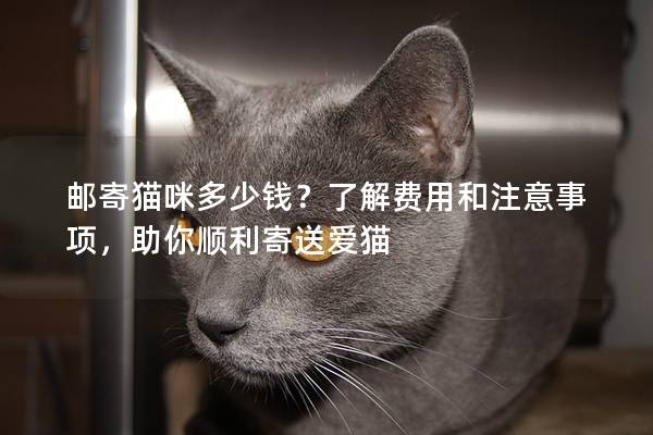 邮寄猫咪多少钱？了解费用和注意事项，助你顺利寄送爱猫