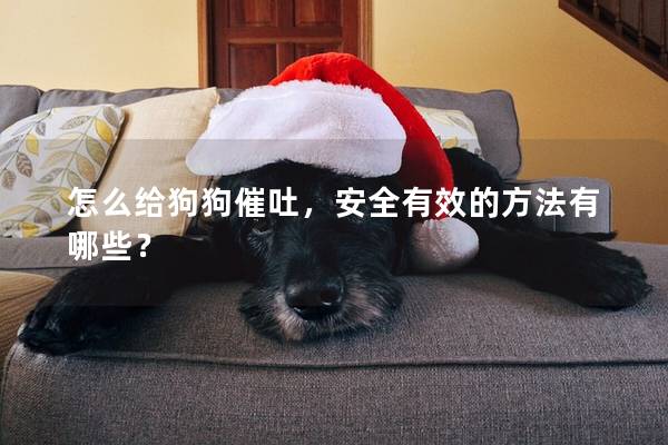 怎么给狗狗催吐，安全有效的方法有哪些？
